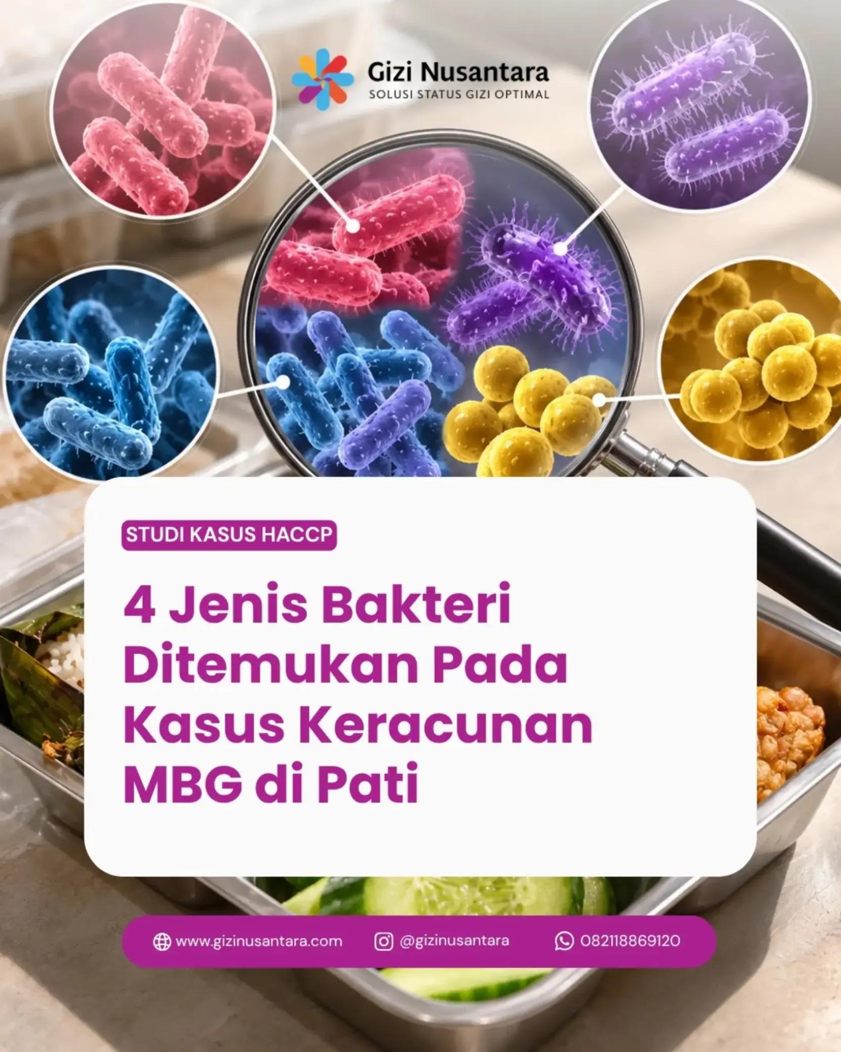 @Gizi Nusantara Official