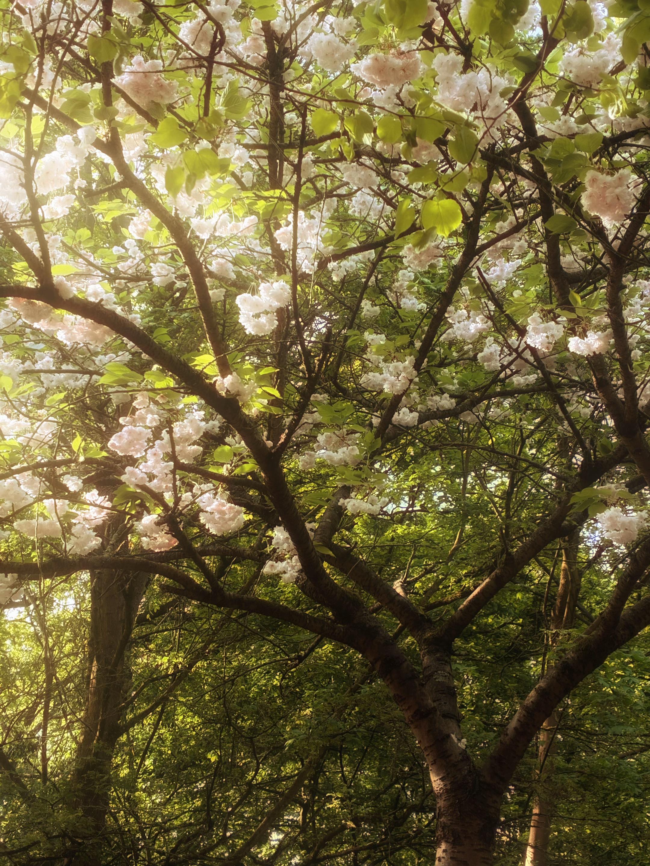 @Lorelai Gilbert °❀⋆.ೃ࿔*