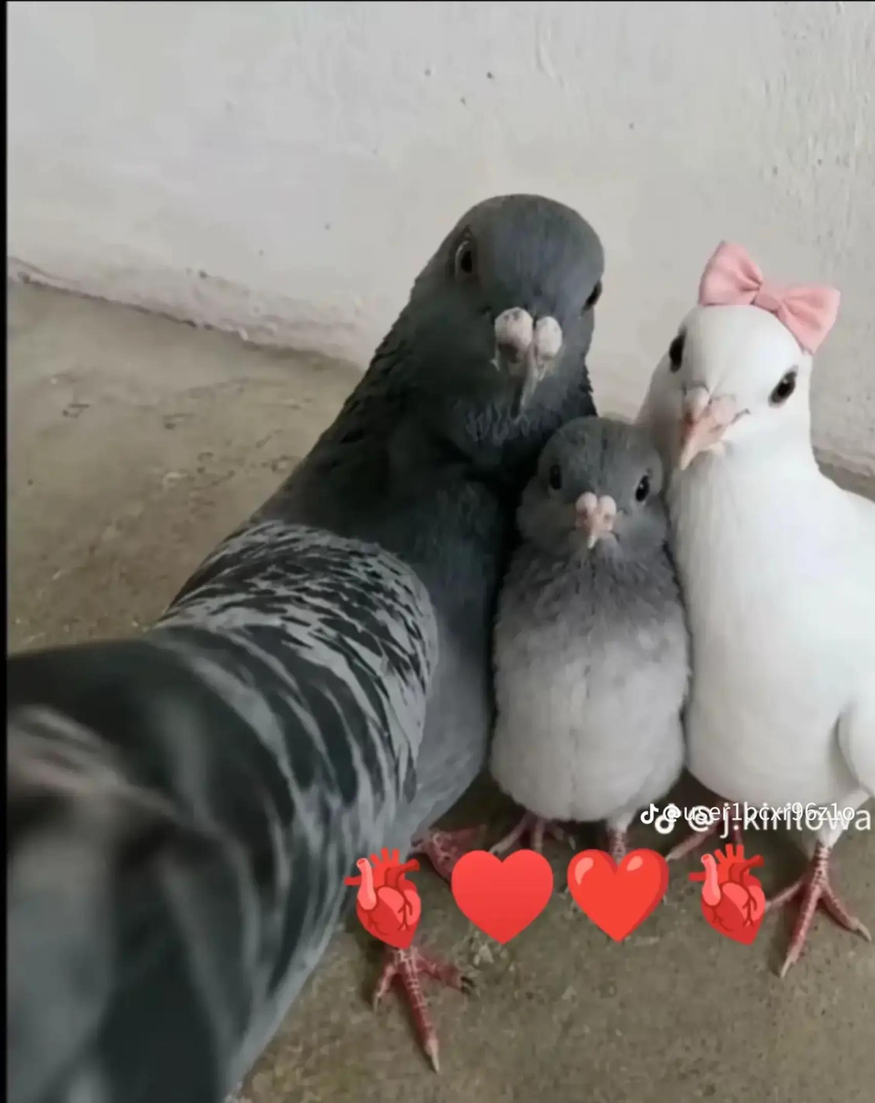 @V. Georgieva🦋🖤🦋777🦋🖤🦋