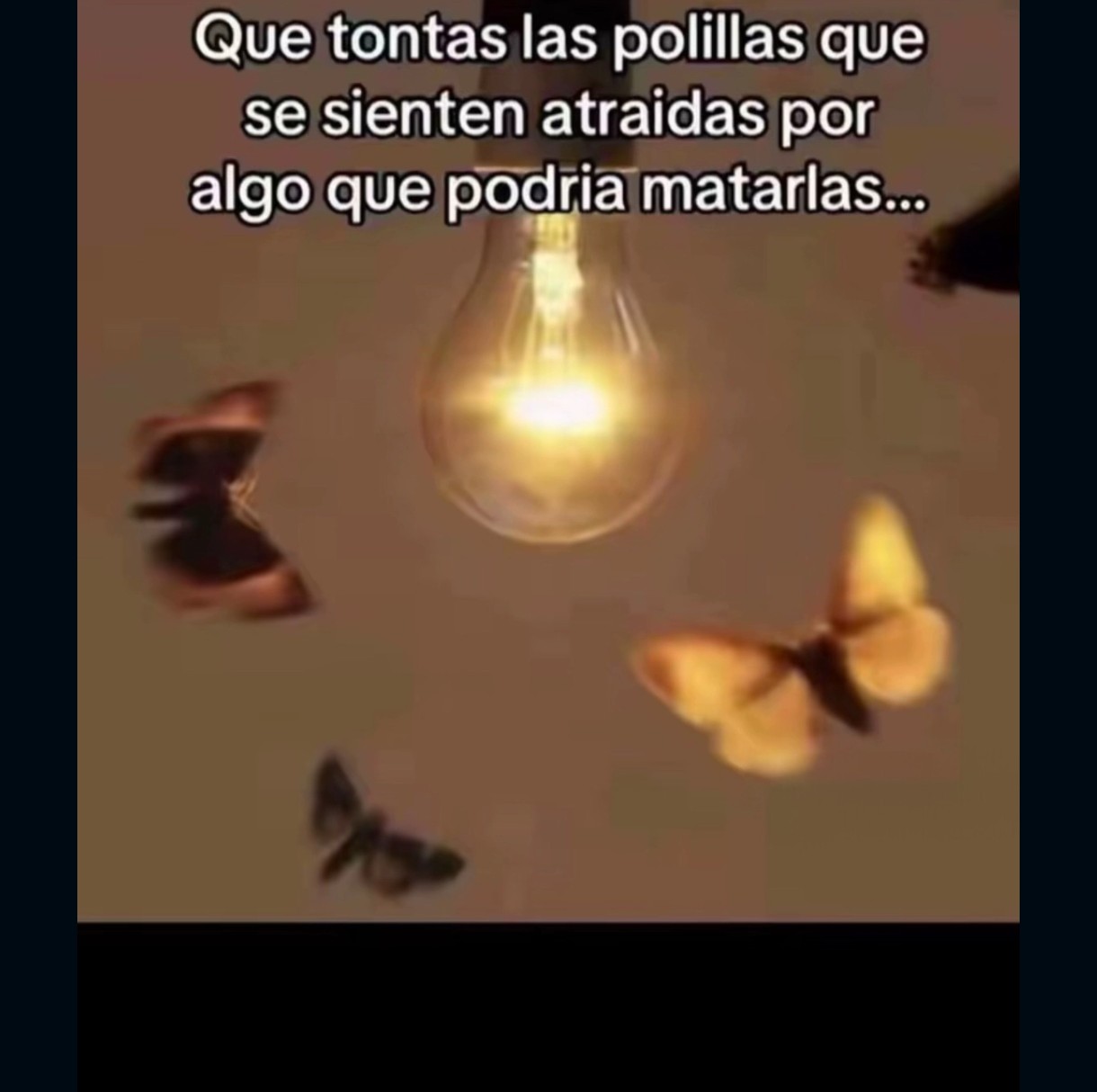 @Carla