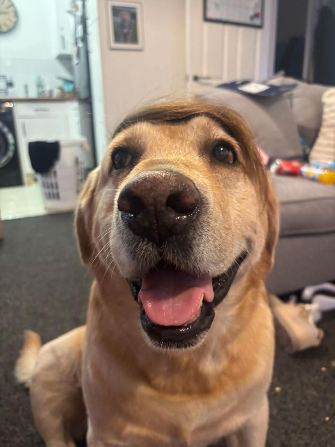 @Marley..🐾❤️