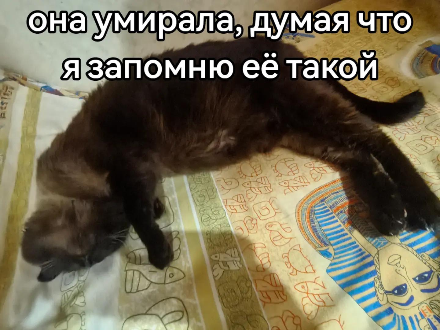 @машк бурмолда