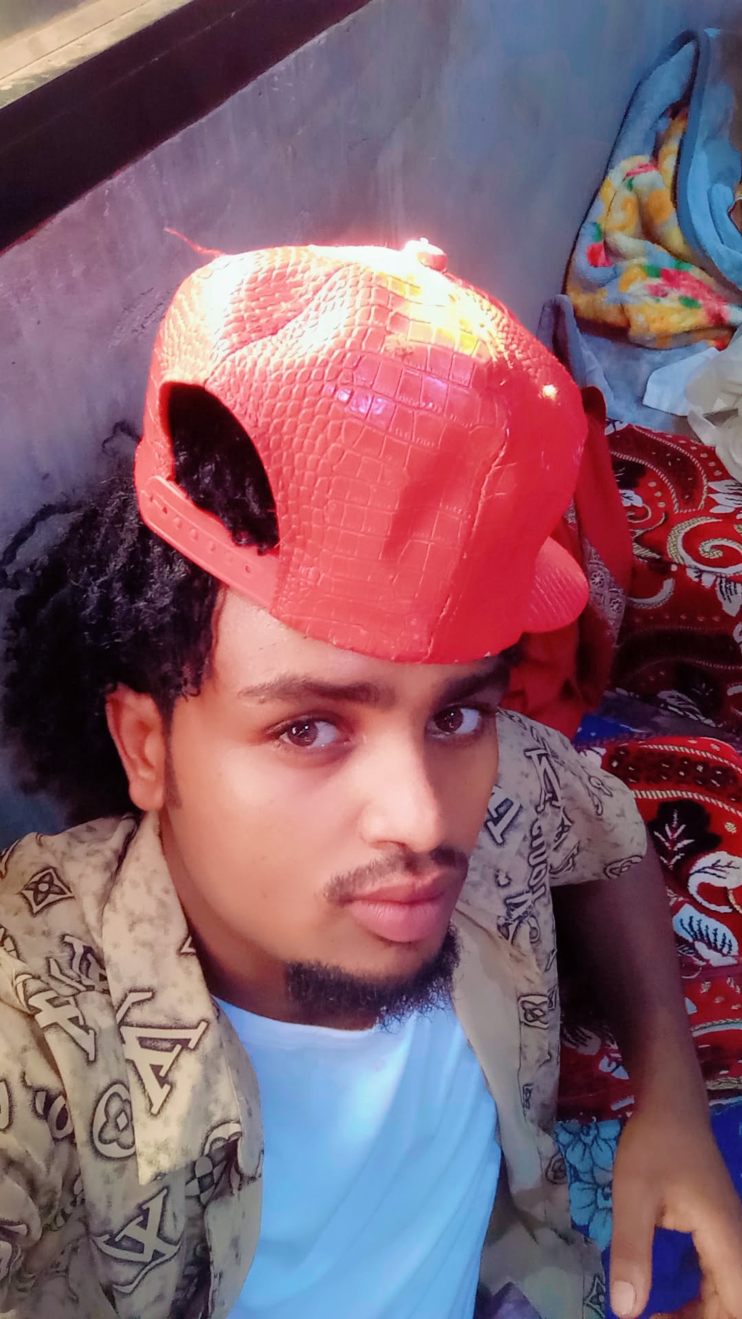 @shuguxii king
