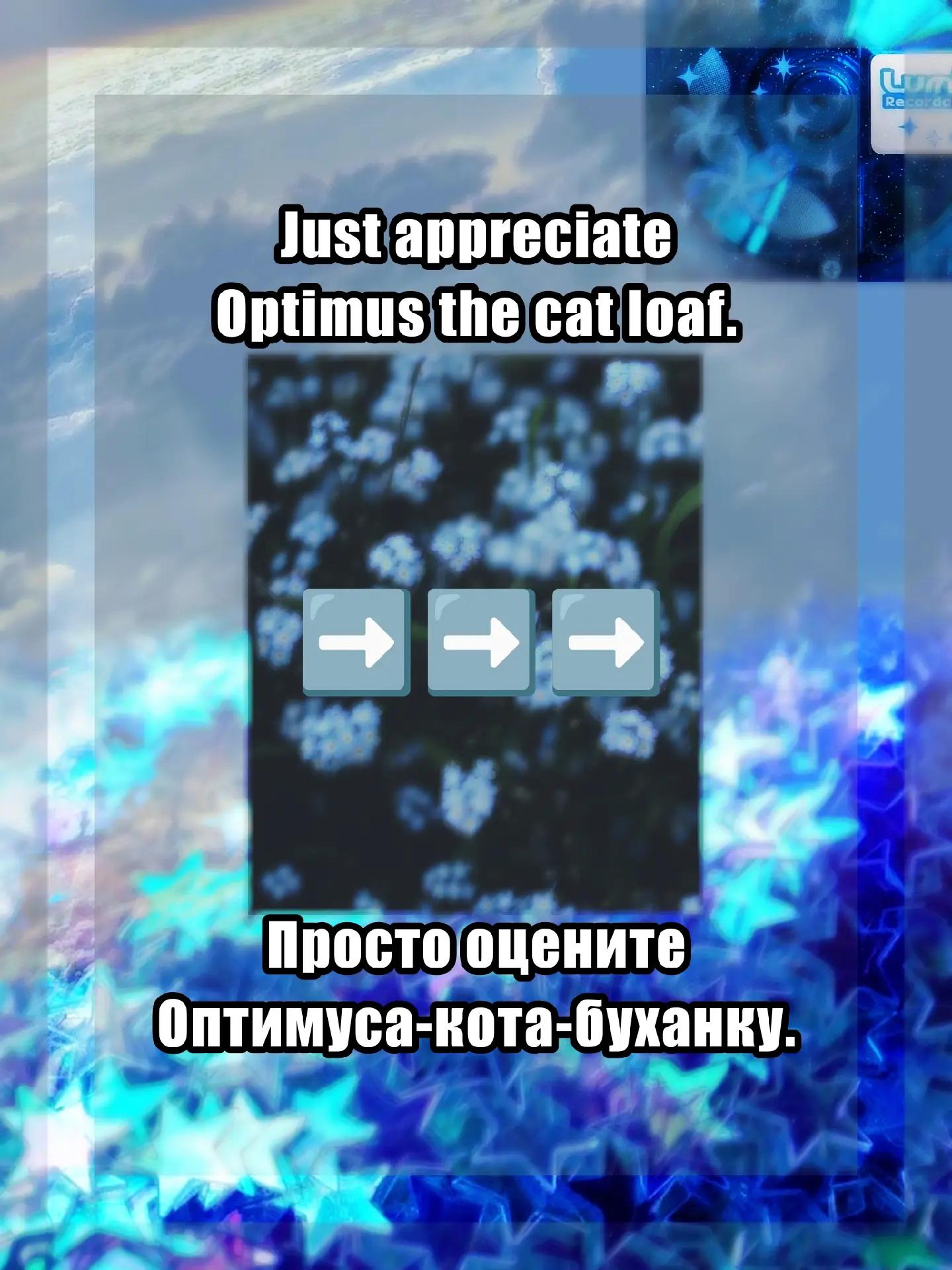 @//Саня Гусь//