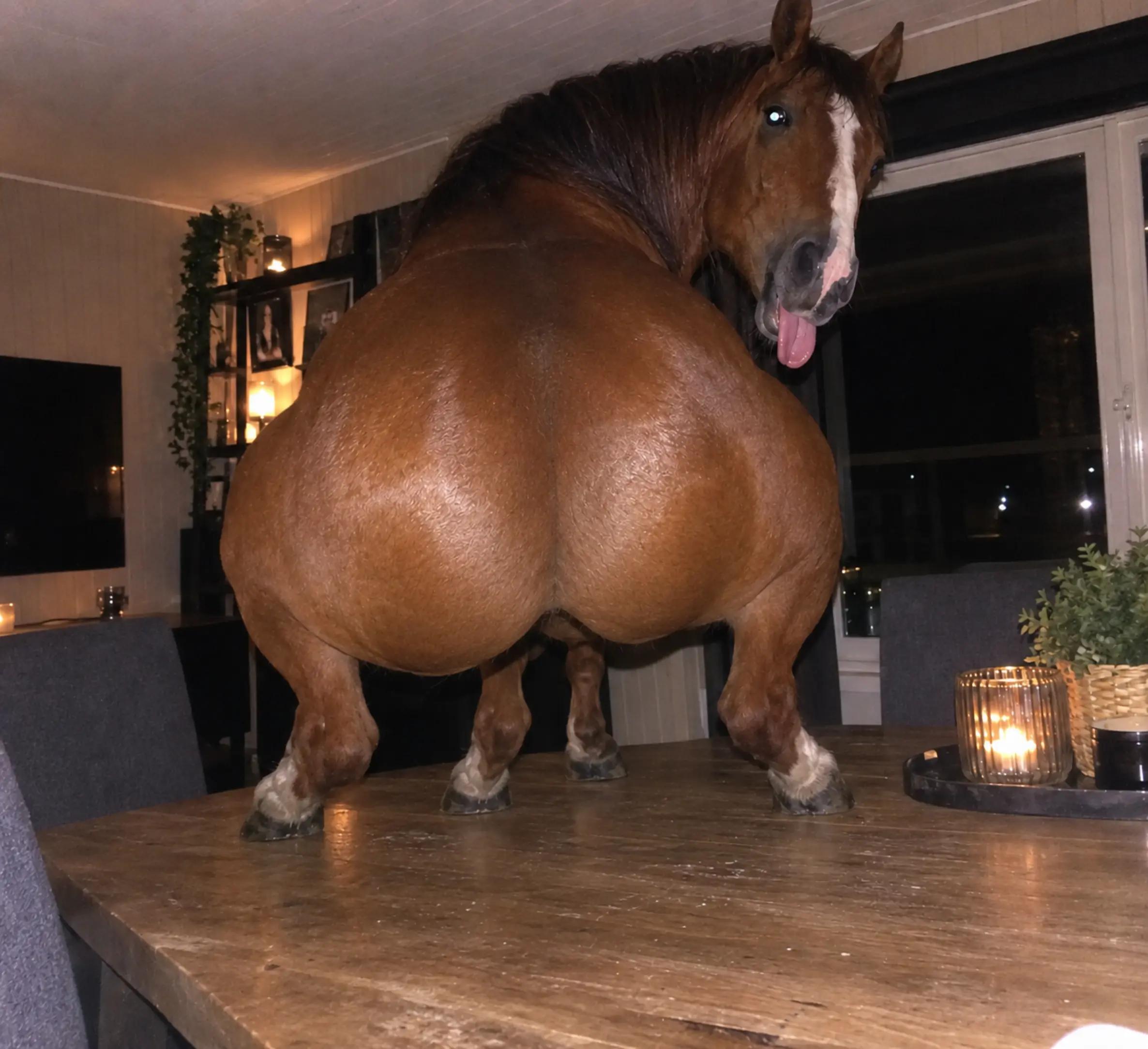 @Tiggien