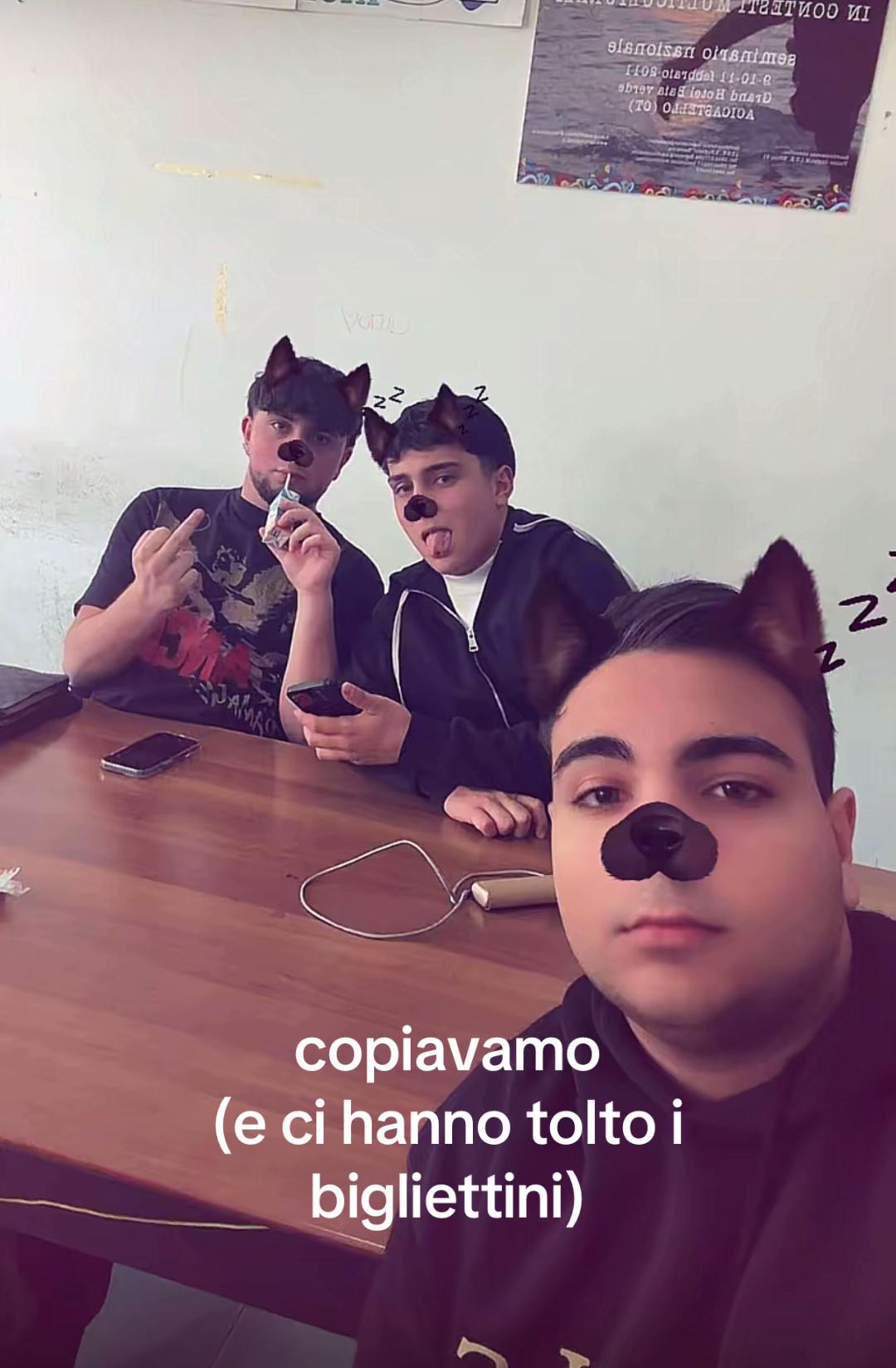 @il senato