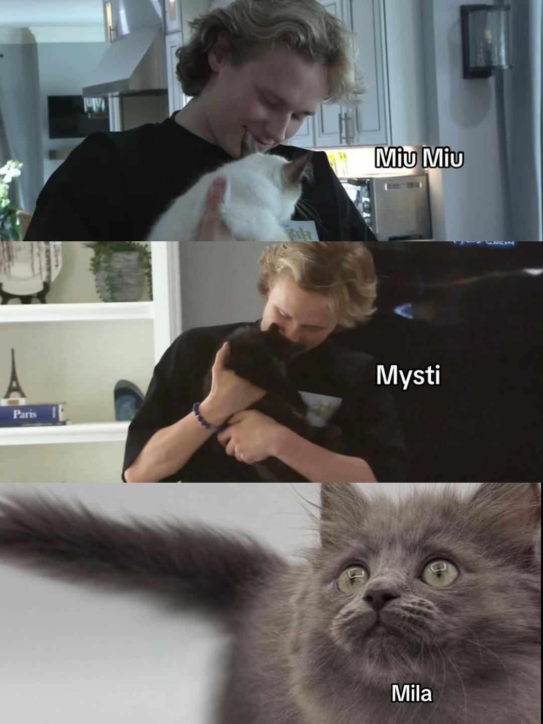 @Dobby4Ilia