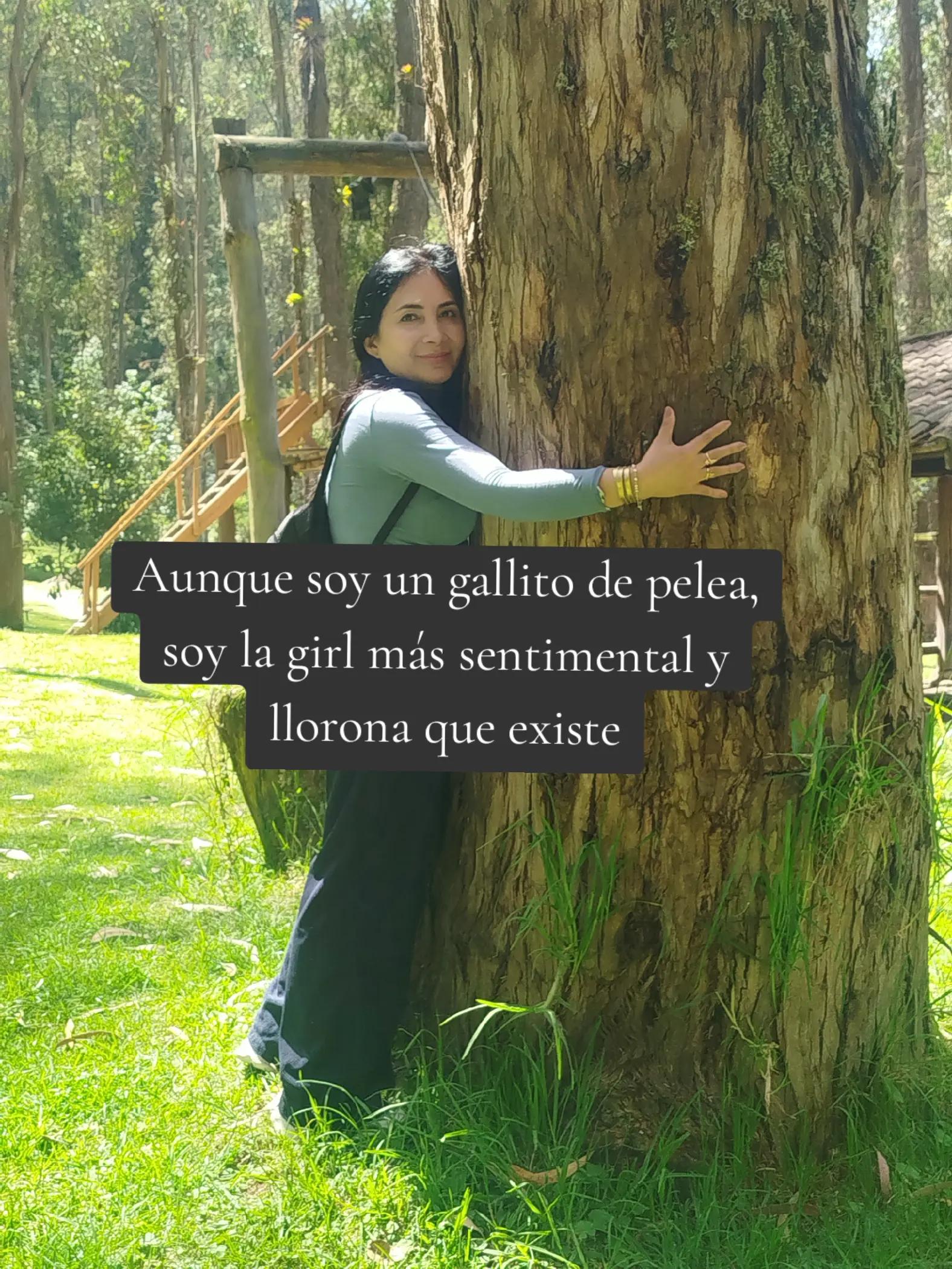 @Gise