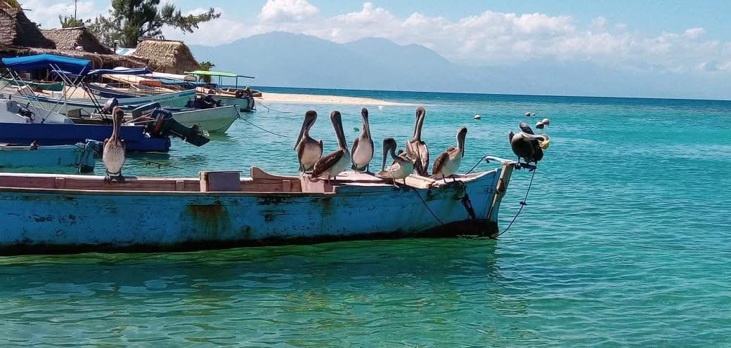@Visita en Honduras