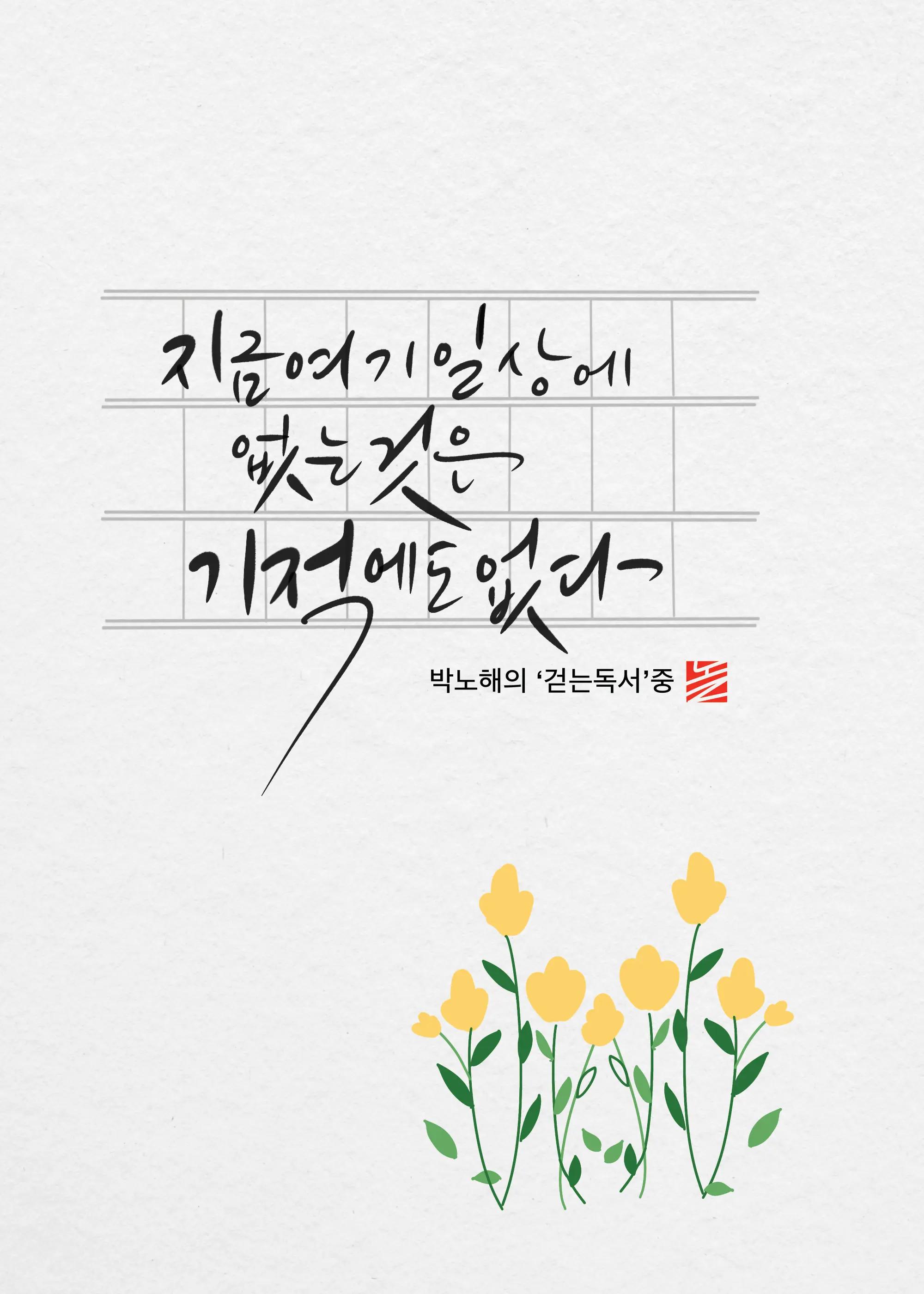 @calligrapher/@noll.calli