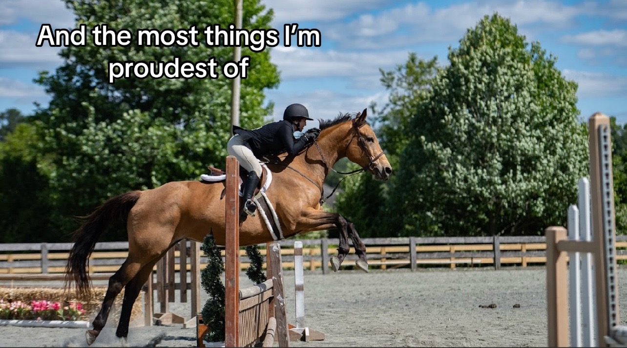 @Aftyn 🐎