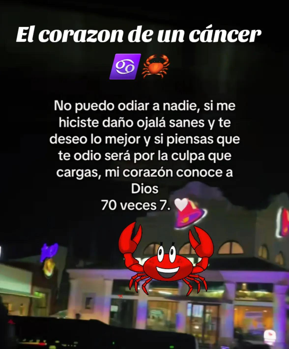 @💯Caminante Virtual 👌