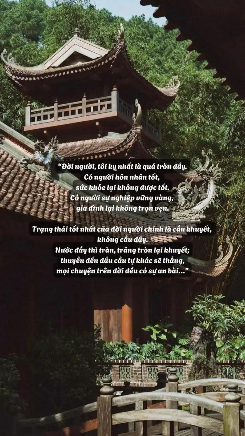 @hạt giống tâm hồn🌱