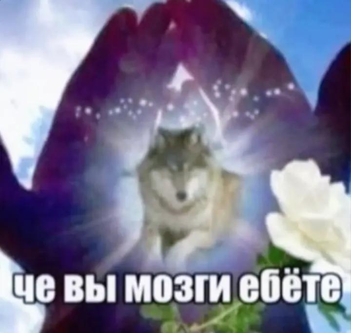@᥈𐔤ɥ&upsilon;ⲕ🎑