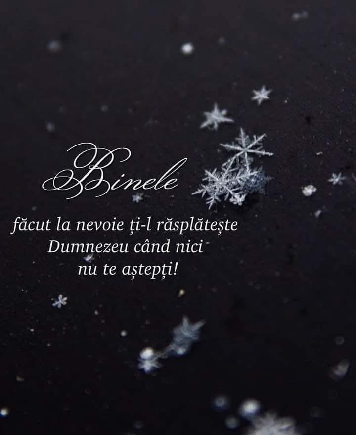 @Luci Luci