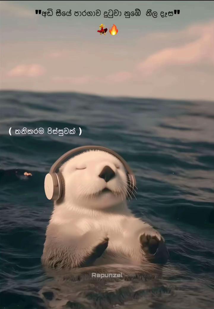 @Hashiii_🤍🍀