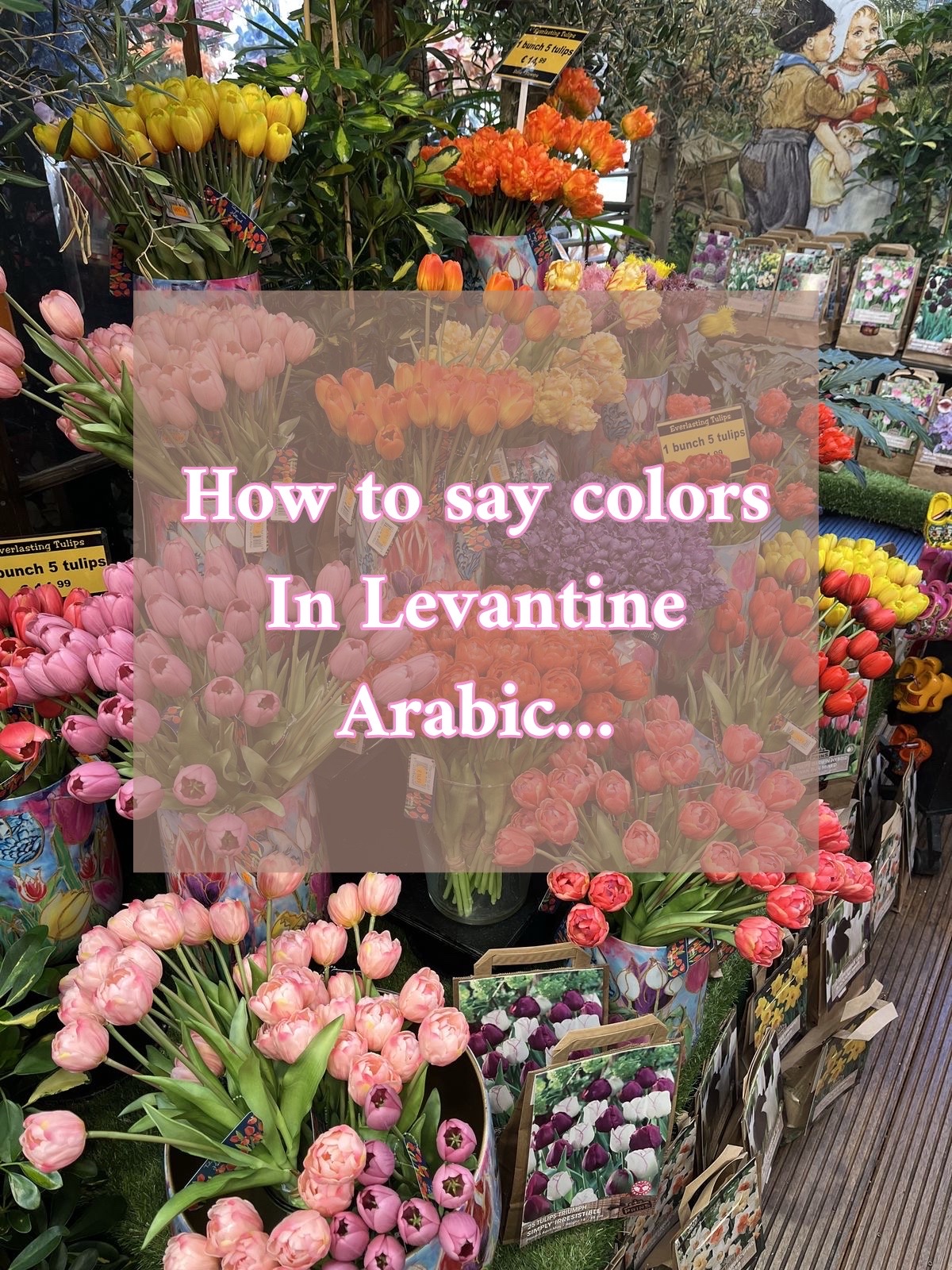 @The Safeer Arabic School