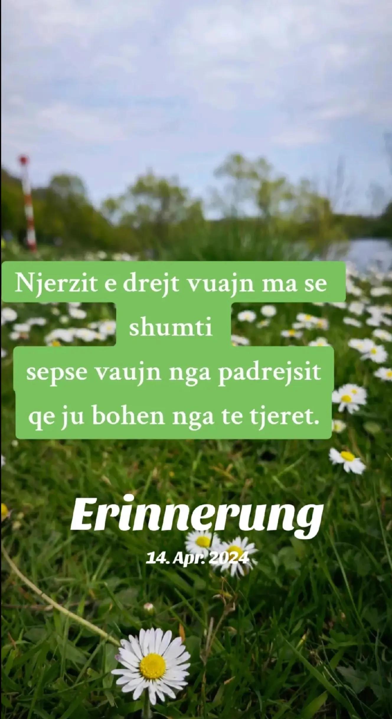 @💎🦅Hysni.Z🦅💎