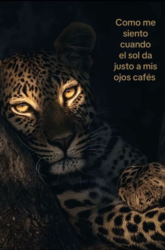@Lucerito