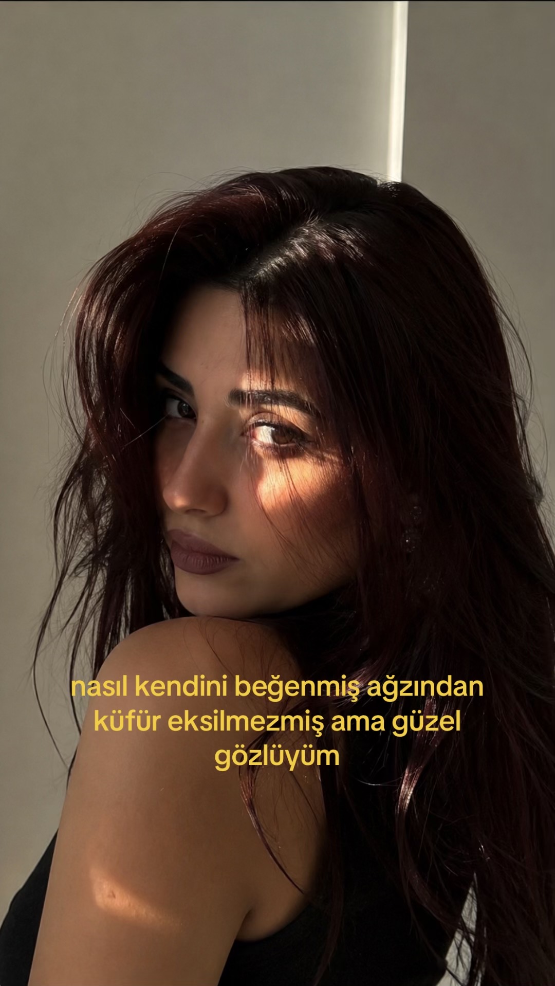 @aisvne
