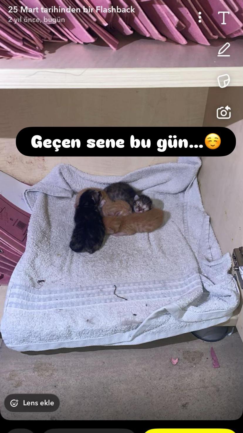 @Şapkalı Kadın