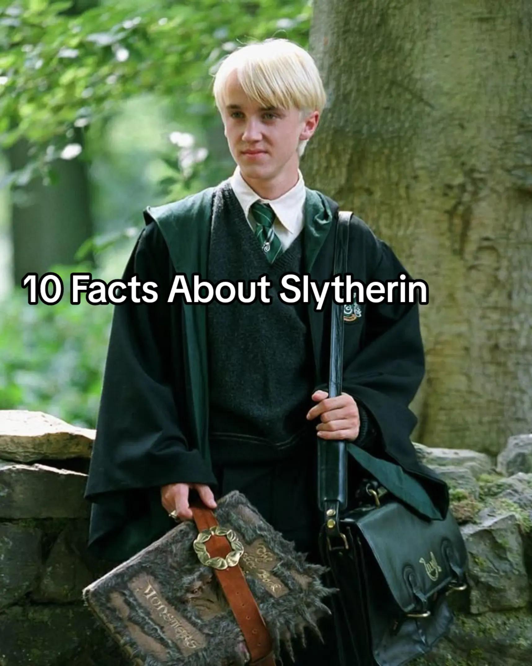 @Gryffindor Boy🦁