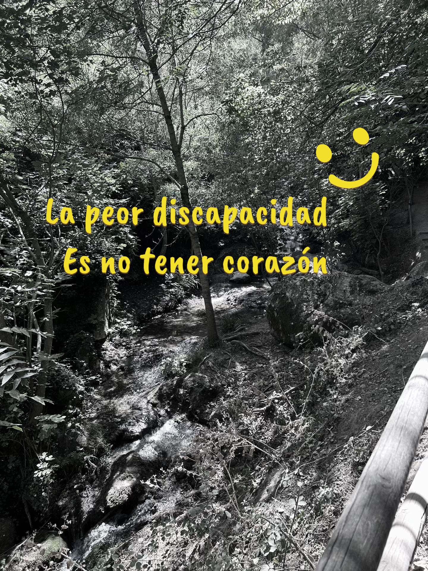 @Rubiadas