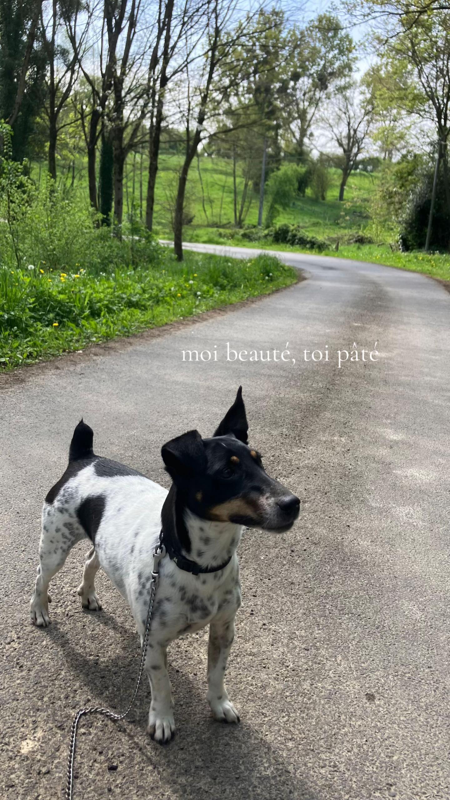 @Ad&egrave;le