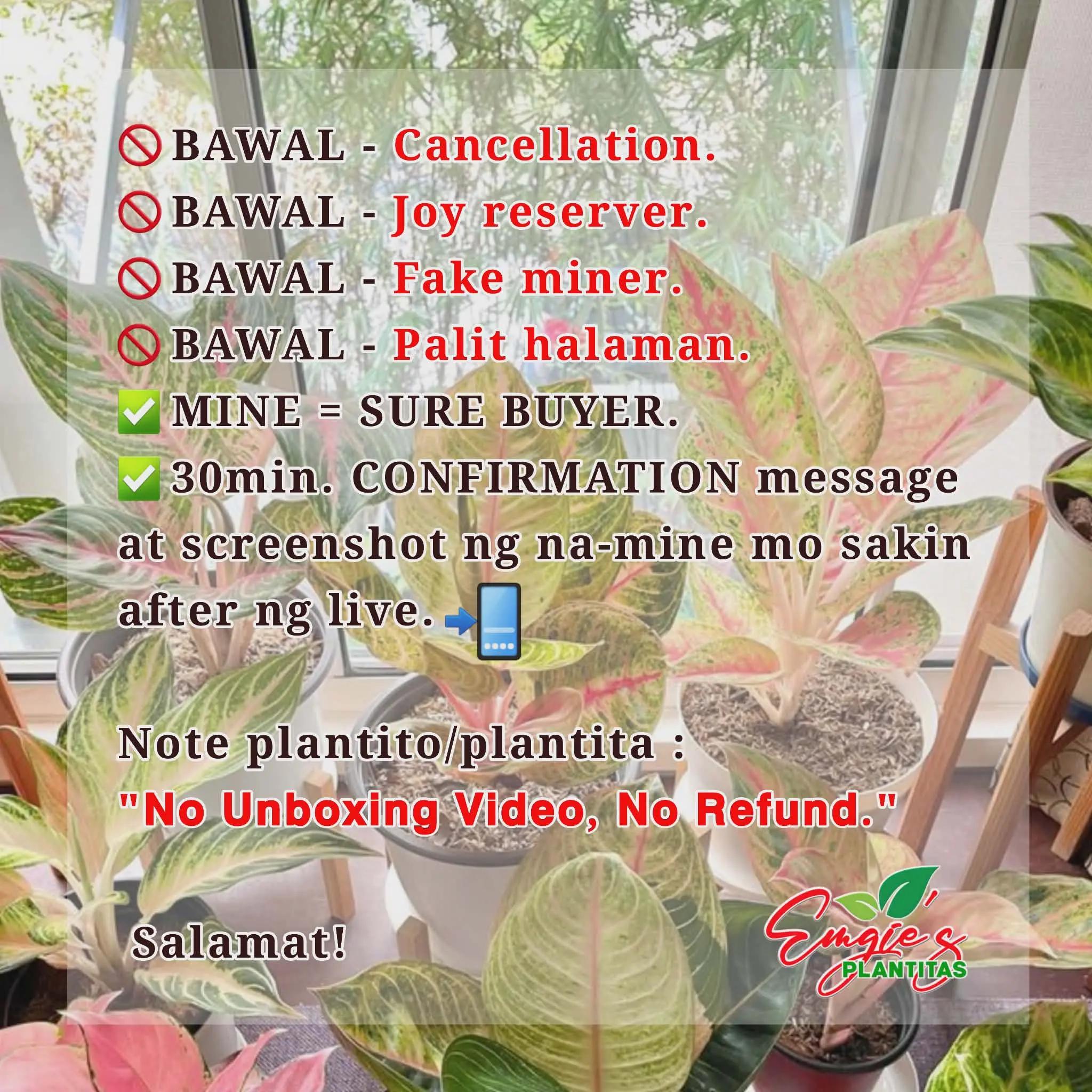 @Emgie’s Plantitas