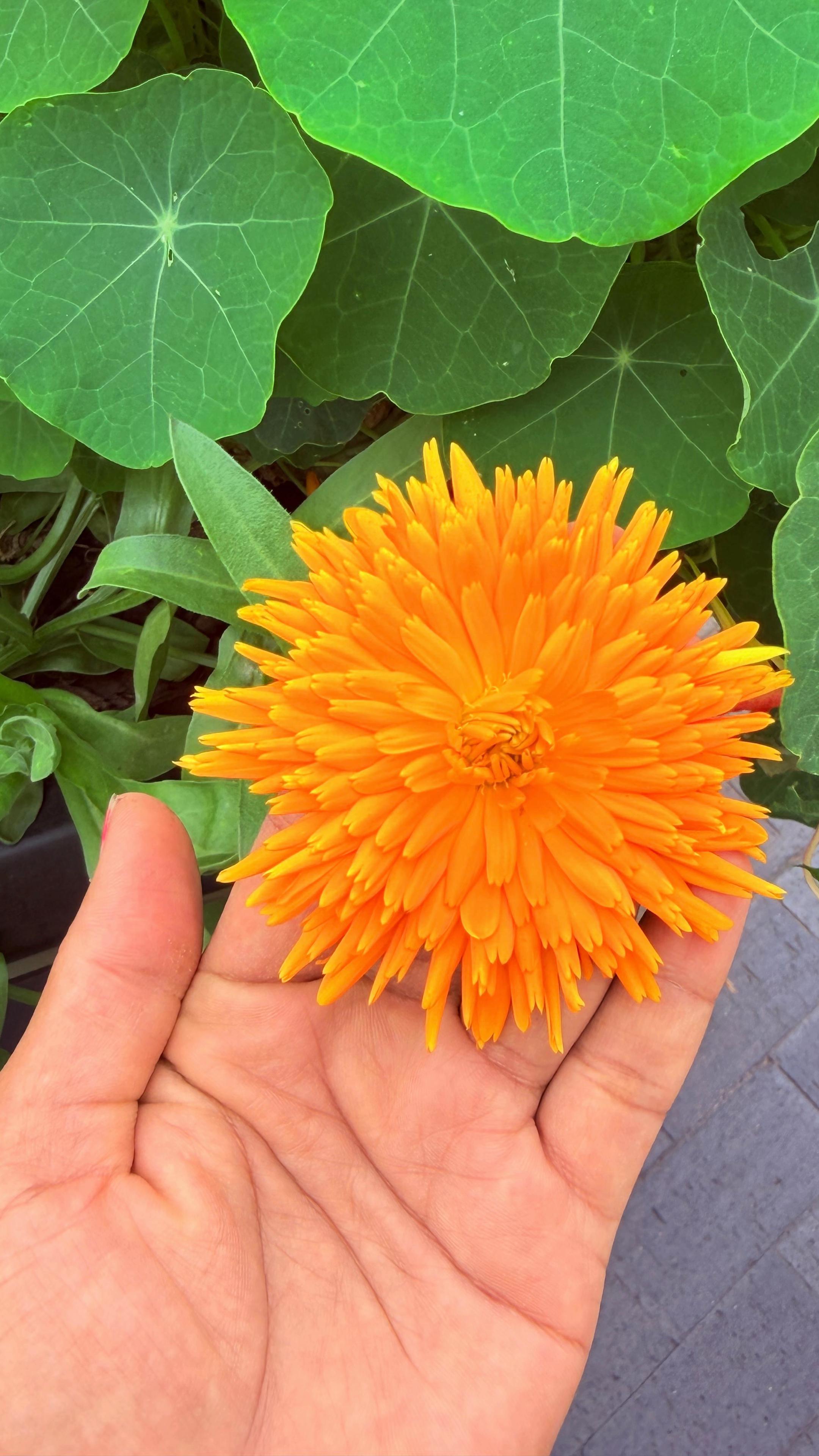 @JyotiSandeep