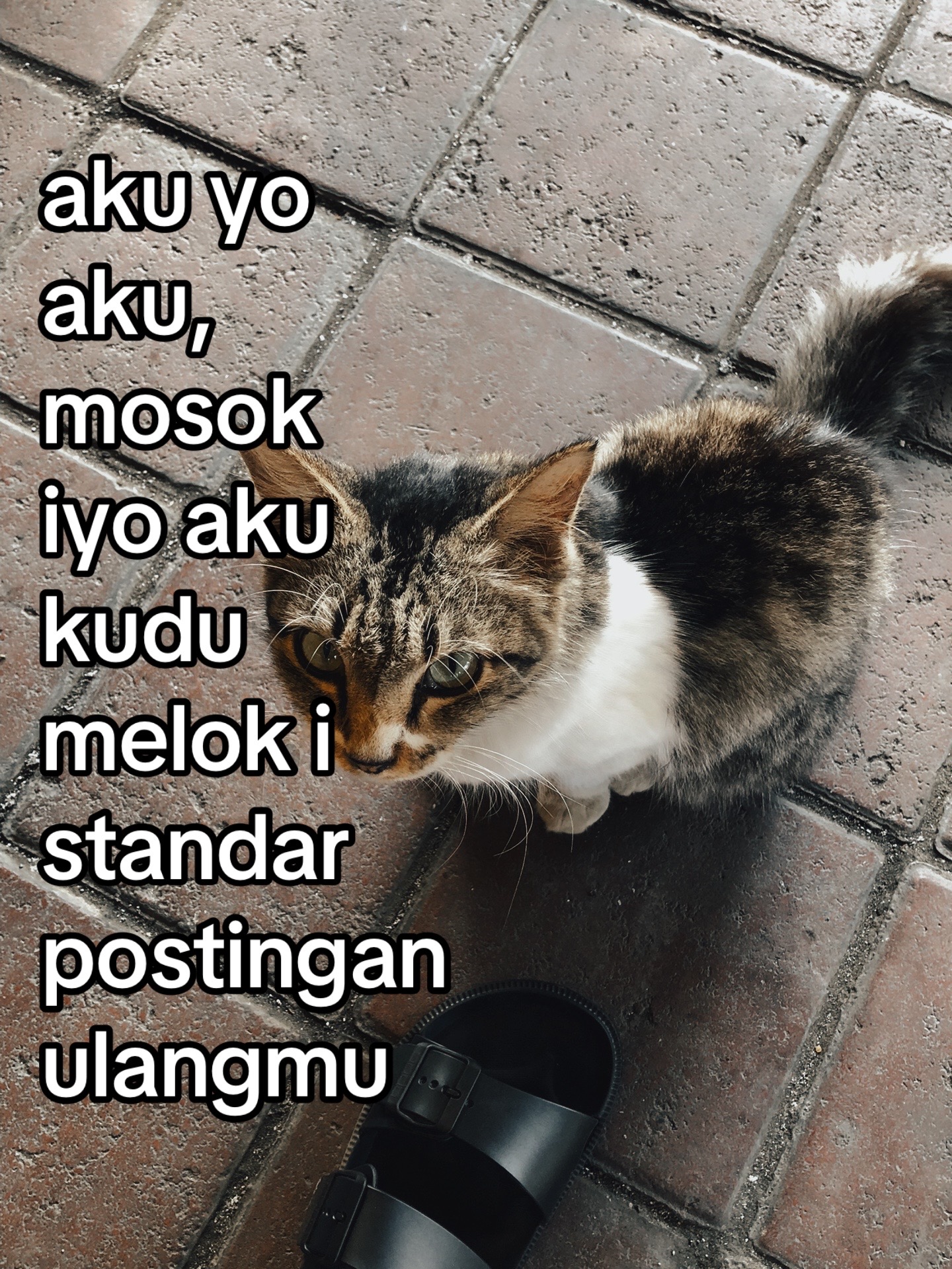 @๐ณ๐ฎ๐ค๐ฒ