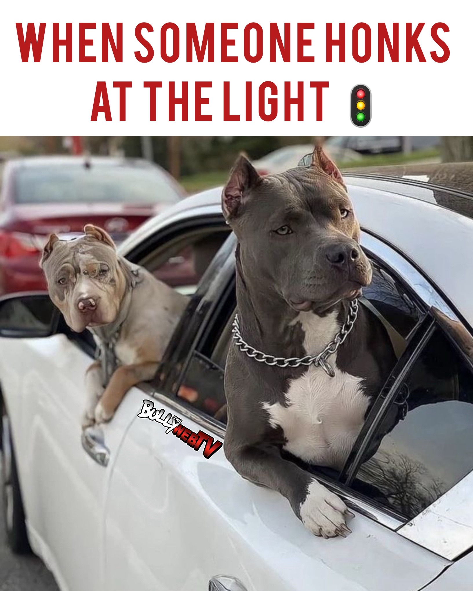 @Official_BullyWebTV