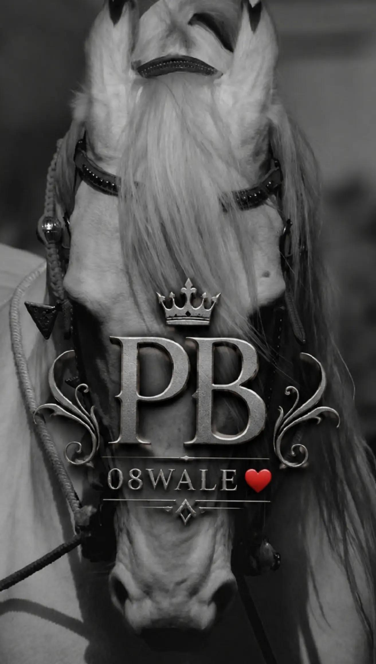 @Nijjar_PB08❤️