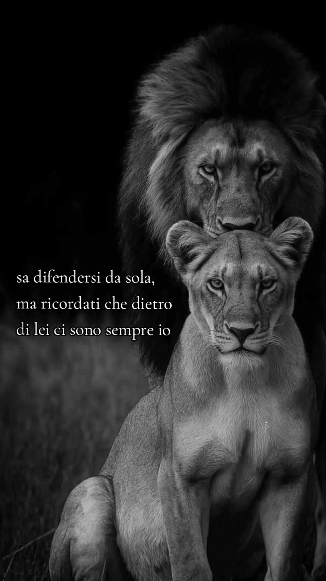 @Slowmo__king🫅🏻🔱