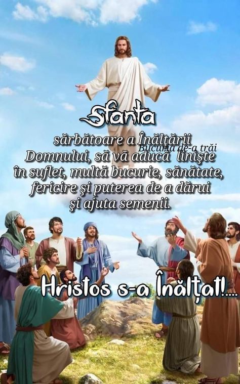 @ionela Patru