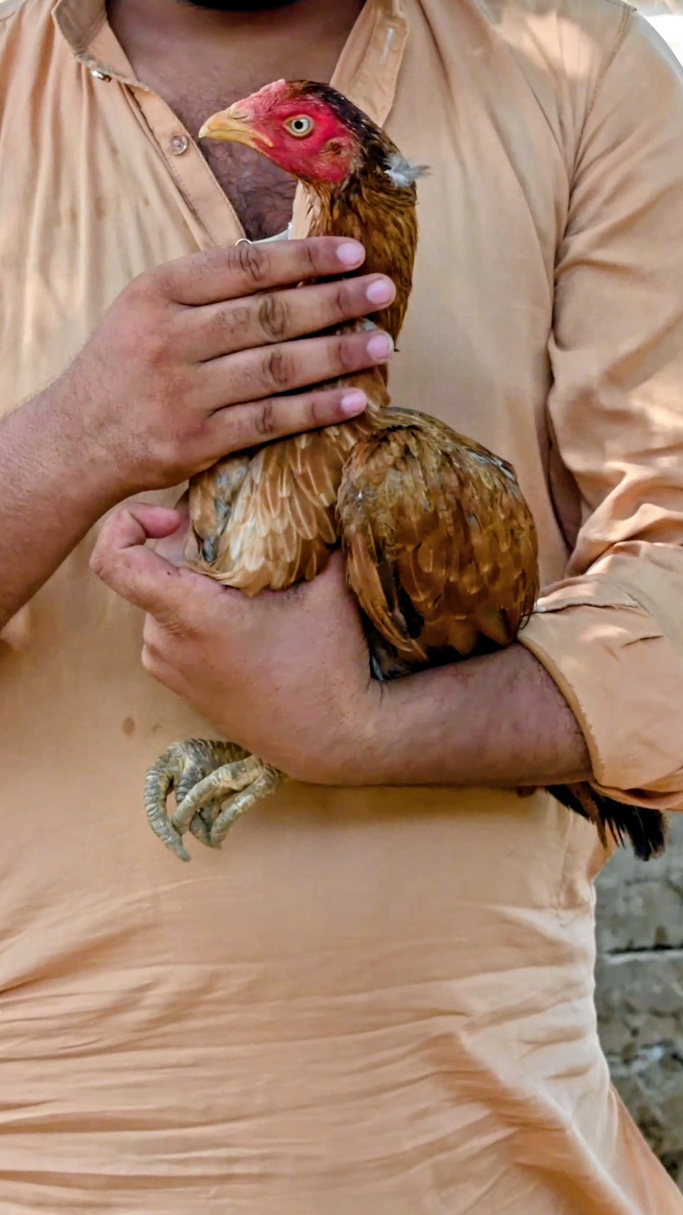 @اشفاق چوہدری 🌺