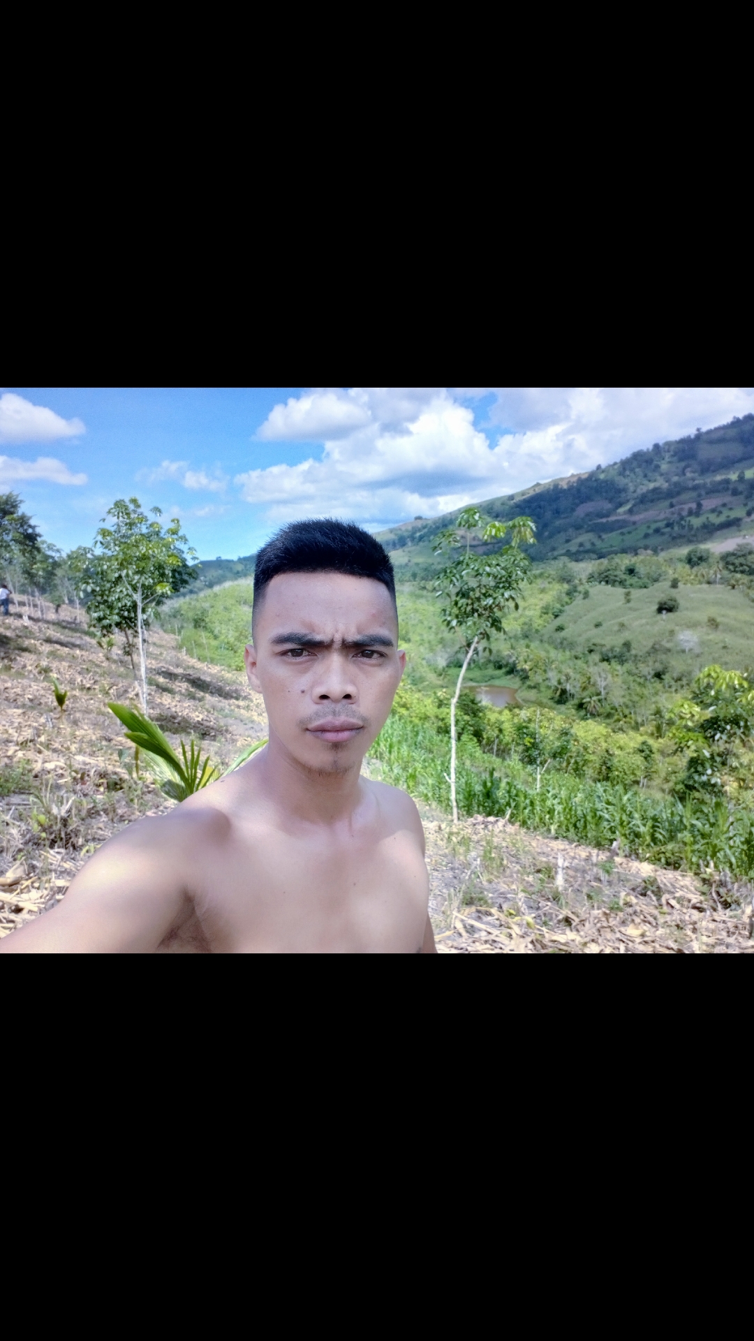 @toto bayat