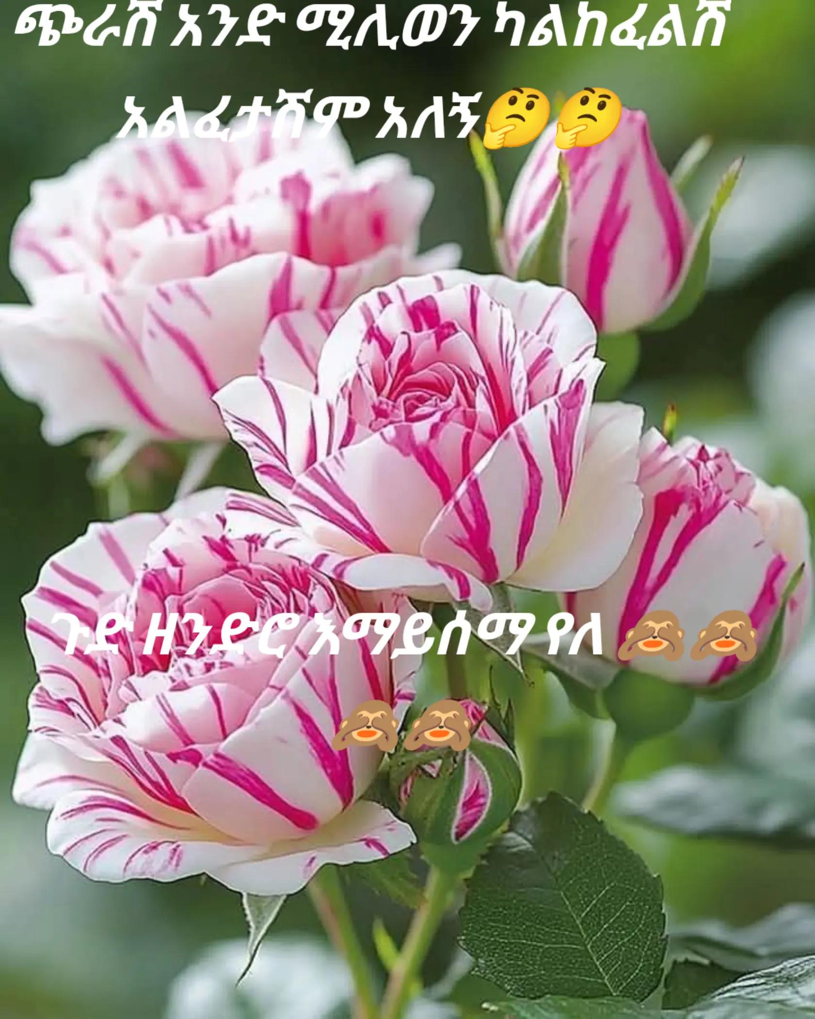 @Helmina Mohammed