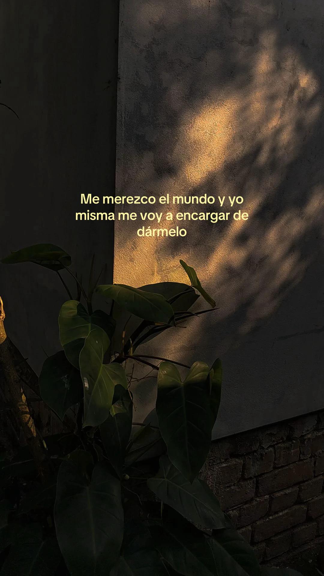 @𝓢