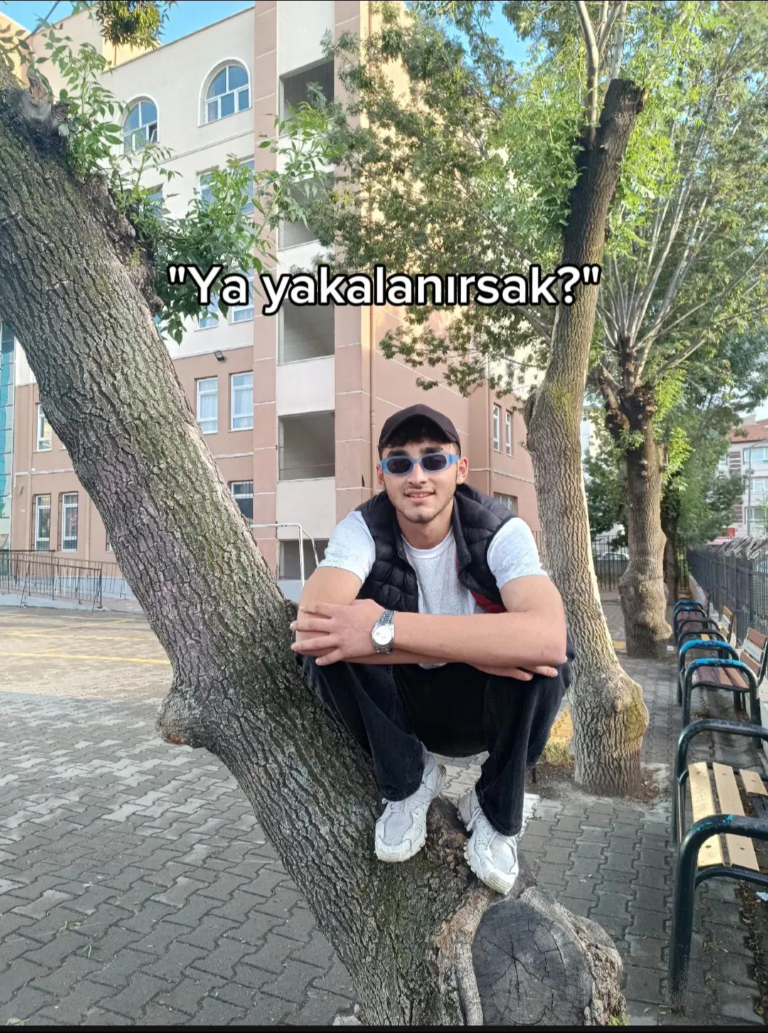 @nizoylcn