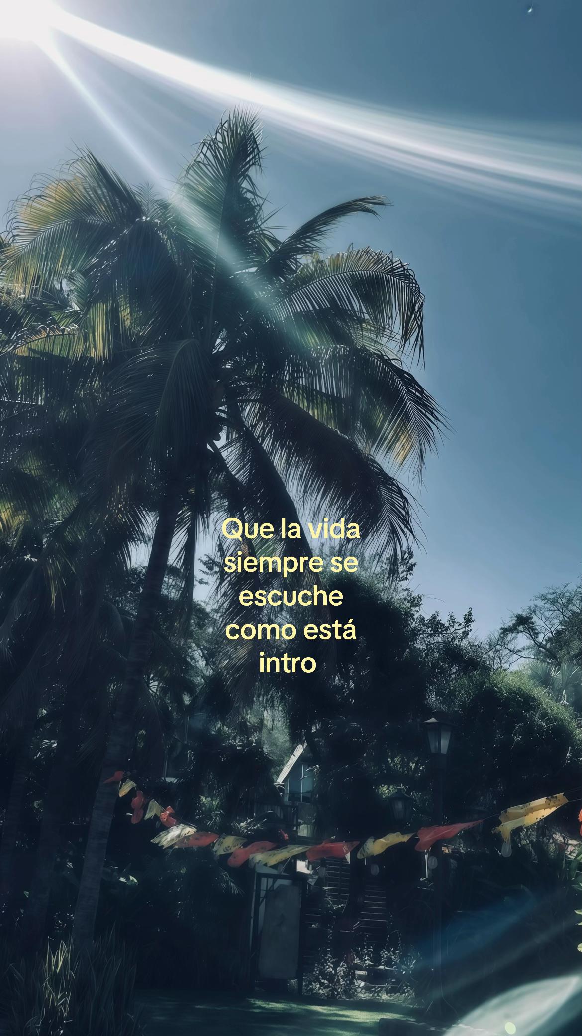 @nosoyyo