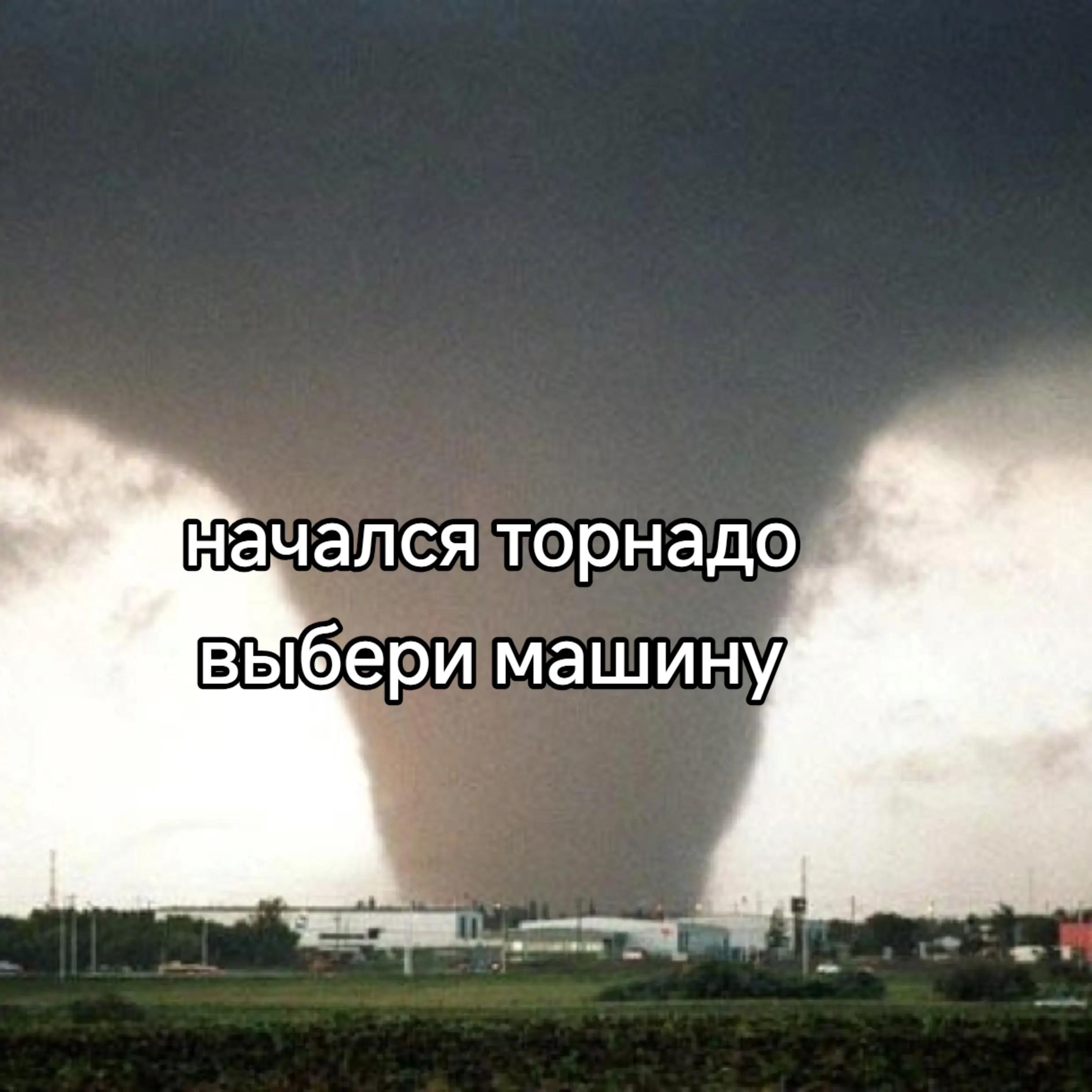 @Vortel🌪️