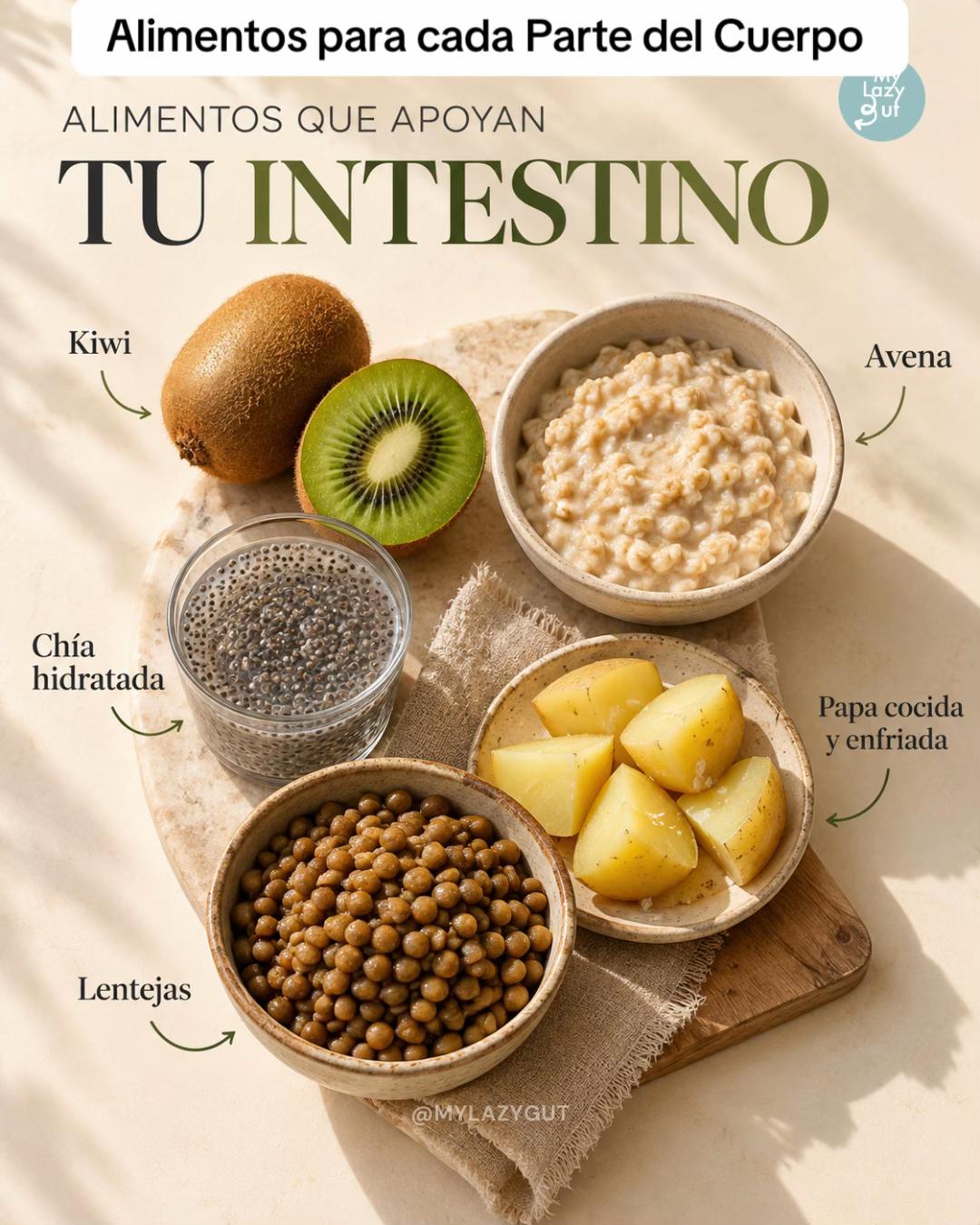 @Mylazygut/Digestión Saludable
