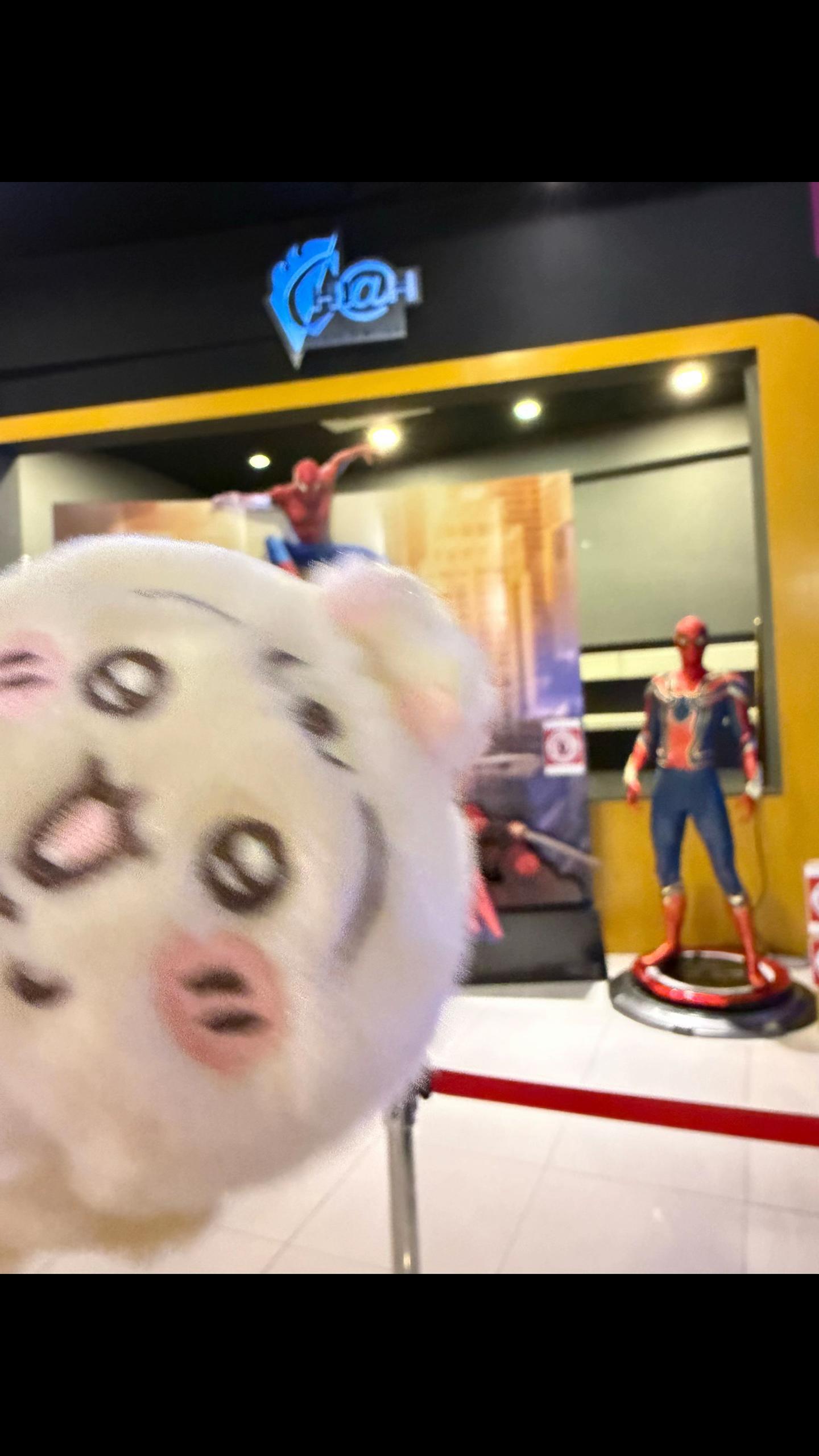 @Mega Cineplex