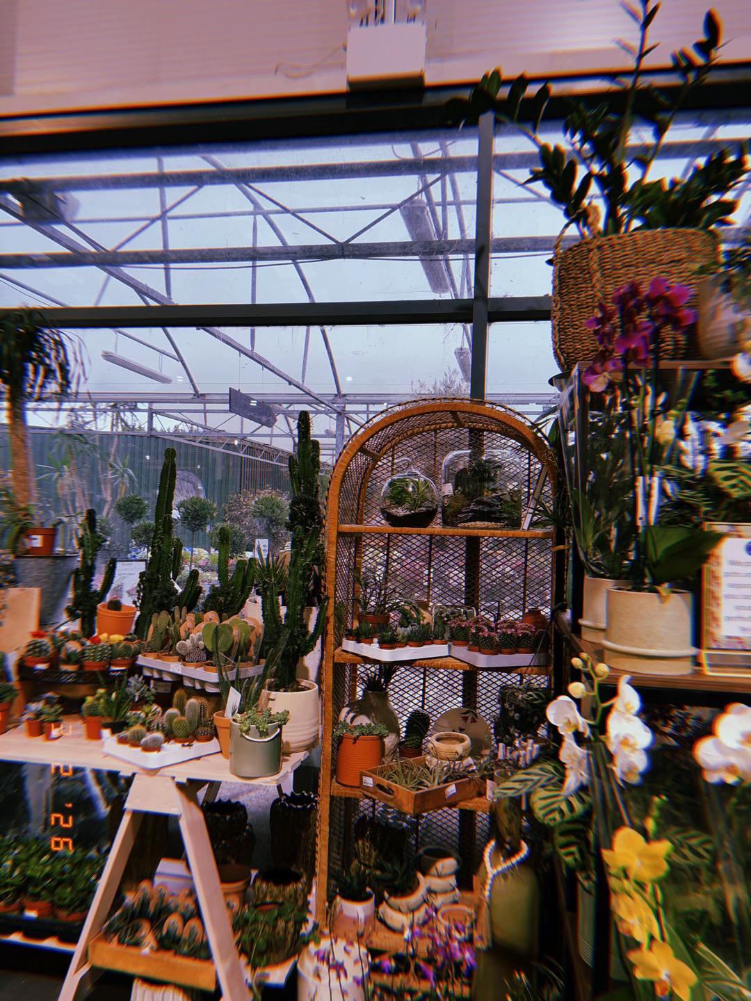 @Megan 🌱🪴📚🦇