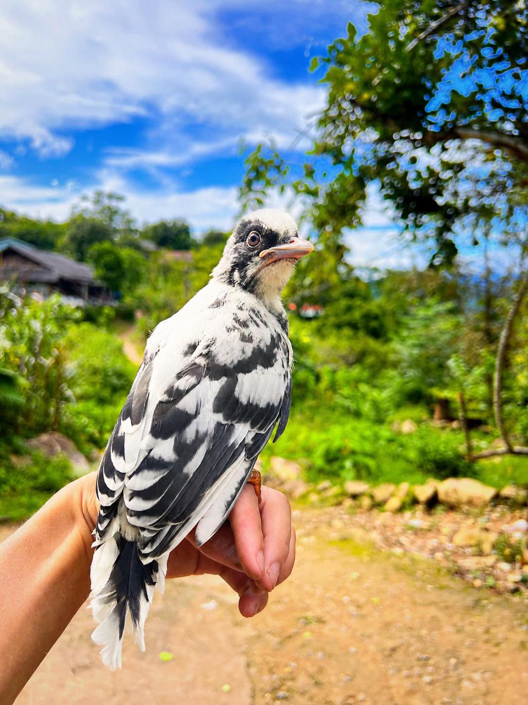 @C&C Miền N&uacute;i ⛰️