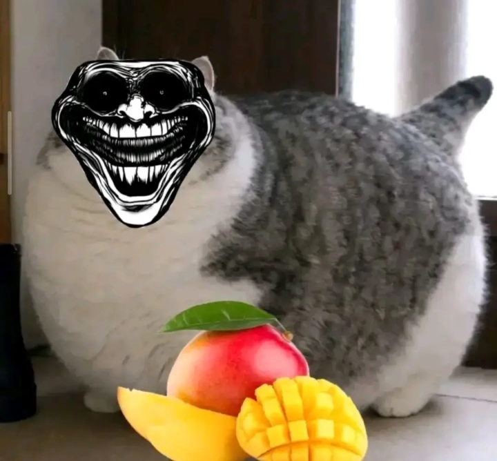 @KomaruSalt_AB