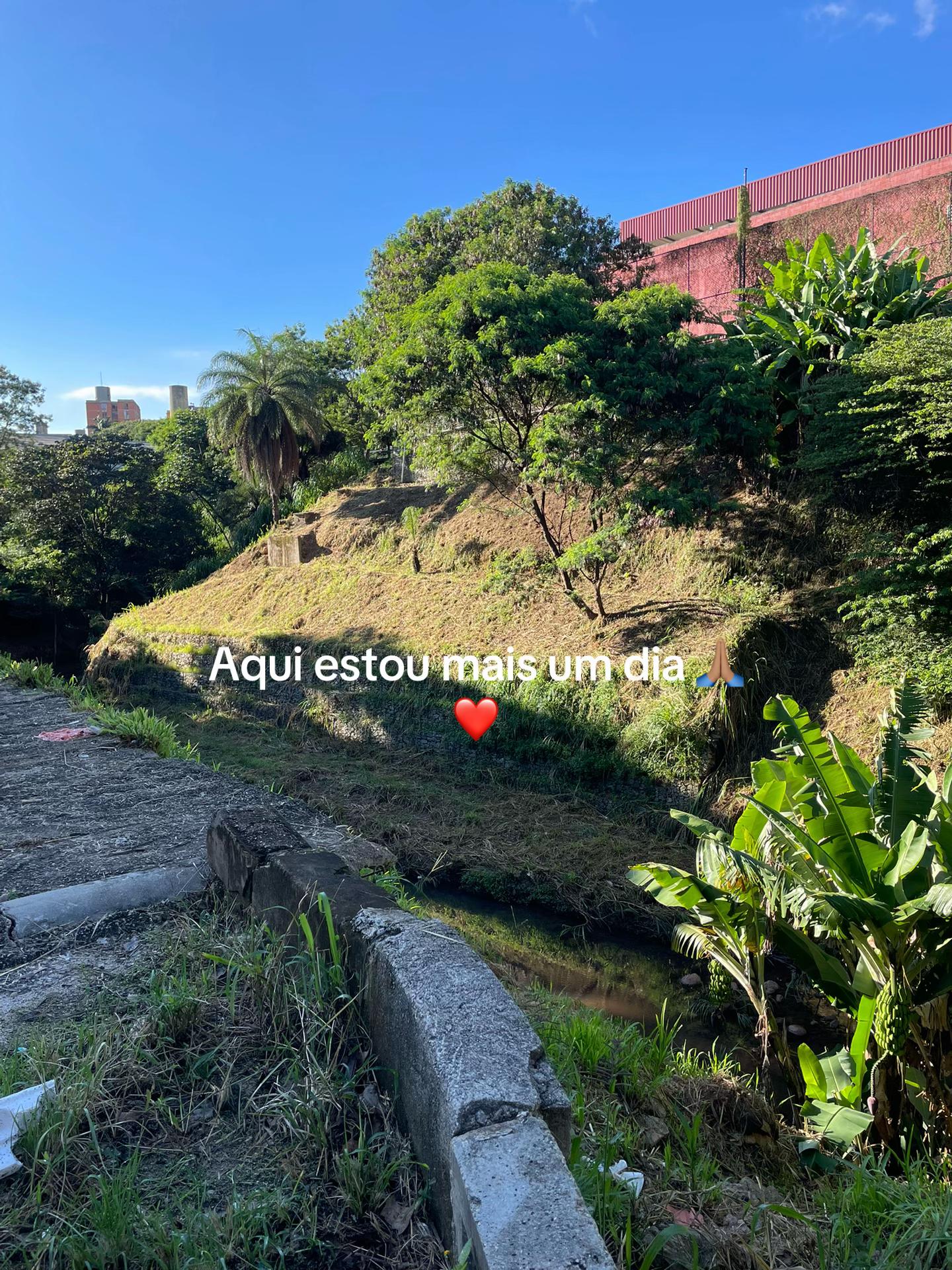 @ygorlop