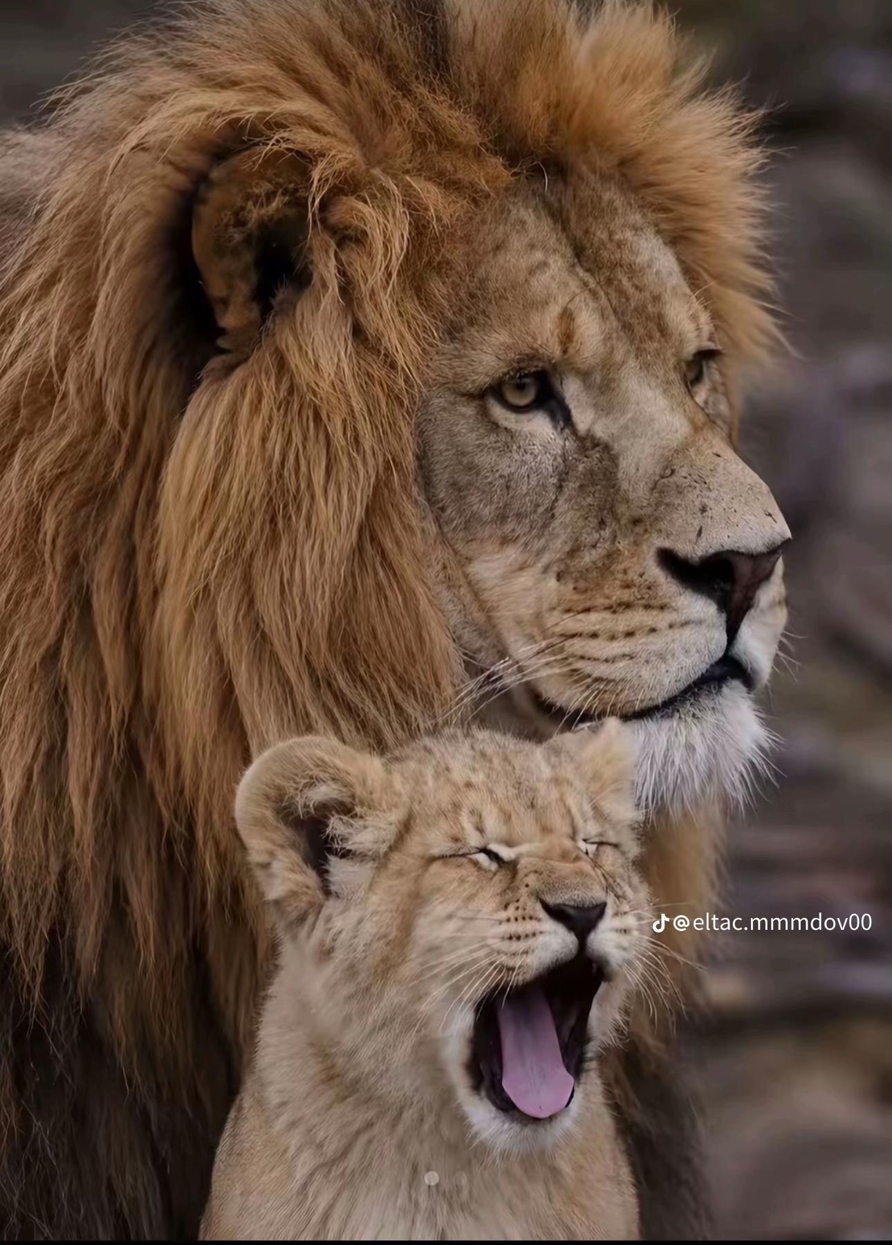@tt__7777