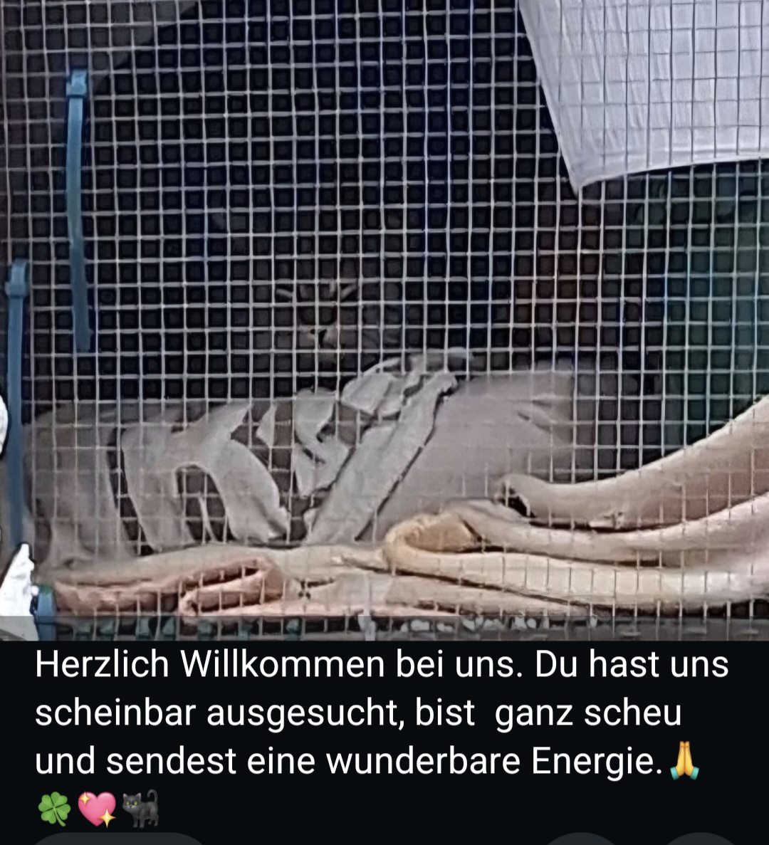 @Anja Oeter